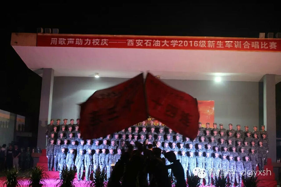 22160833r4n8.jpg